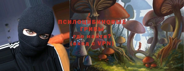 герыч Бородино