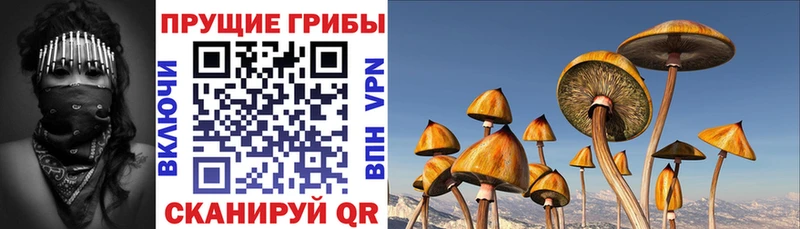 Галлюциногенные грибы мицелий где купить наркоту kraken ONION Миллерово